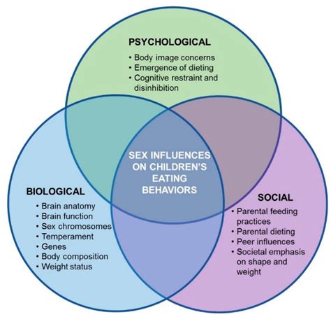 nutrients free full text a biopsychosocial model of