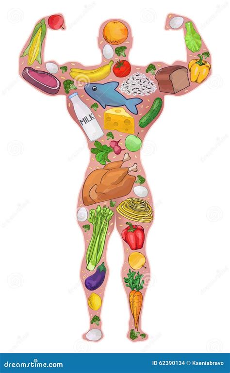 athlete healthy man food diet vector illustration stock vector image