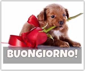 BUONGIORNO FORUM!!!!  Saluti lampo - Pagina 16 Th?id=OIP.APHp6sOY_n9eVQwTH5SyiAEsD5&pid=15