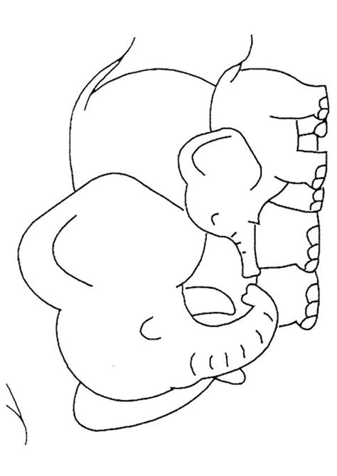 baby elephant coloring pages  mom elephant coloring page family