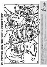 Blijdorp Kleurplaten Diergaarde Gorilla Kleurplaat Bron Bestelcode Titel sketch template