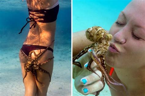 Bikini Clad Woman Has Intimate Encounter With Octopus My