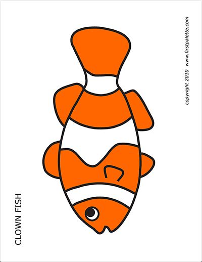 coral reef fishes  printable templates coloring pages