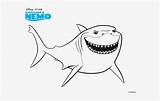 Nemo Bruce Shark Tiburon Buscando sketch template