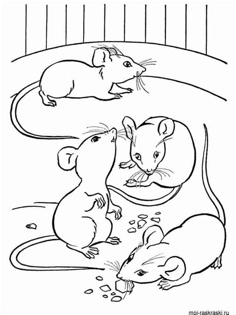 mouse coloring pages   print mouse coloring pages