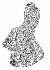 Zentangle Lapin Erwachsene Malbuch Adulti Disegni Colorare Dessinée Tête Justcolor Coloriages sketch template