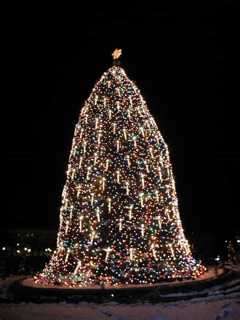 pageant  peace   national christmas tree hubpages