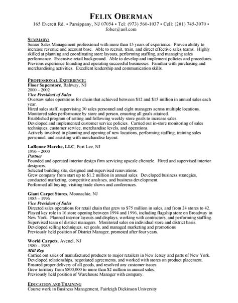 resume format resume samples vp sales