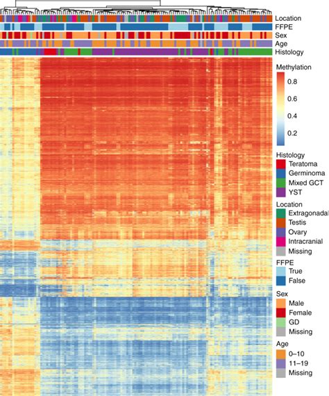 Differences In Dna Methylation Profiles By Histologic Subtype Of