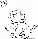 Lion Kiara King Pages Coloring Baby Template Pencil Simba Kovu sketch template