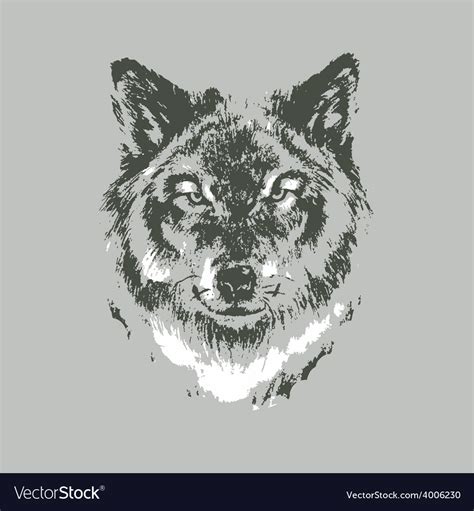 Hand Drawn Wolf Sketch Royalty Free Vector Image