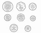 Coins Popular sketch template