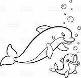 Dolphin Coloring Pages Dolphins Baby Printable Tale Color Animal Adults Cute Easy Pink Colouring Mommy Animals Realistic Print Kids Getdrawings sketch template