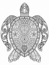 Coloring Pages Games Adults Mandala Books Discover sketch template