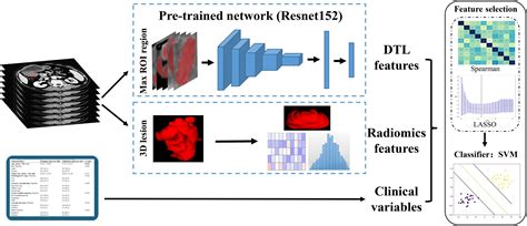 frontiers development and validation of a predictive model combining