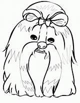 Coloring Tzu Shih Pages Popular sketch template