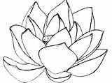 Lotus Coloring Flower Pages Color Drawing Printable Getdrawings Clipart Kids Amazing Getcolorings Paintingvalley sketch template