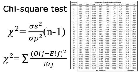 chi square test formula  table examples