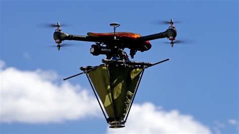 drones    sky  crazy ant war  cairns   north queensland cairns post