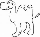 Kamele Kameel Ausmalbild Malvorlage sketch template