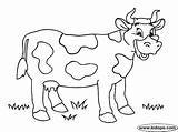 Vaca Manchas Colorare Bauernhof Imagui Kinder Clipart Outline Animali Fattoria Animals Domésticos Kuh sketch template