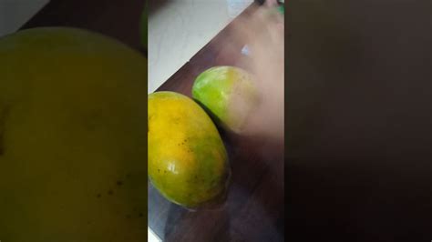 favourite fruit mango  love mango youtube
