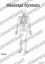 Skeletal Coloring sketch template