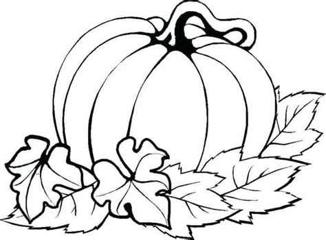 leaves  pumpkins coloring pages barry morrises coloring pages