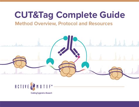 cuttag complete guide overview protocol resources