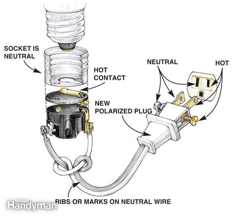 lamp rewiring basics