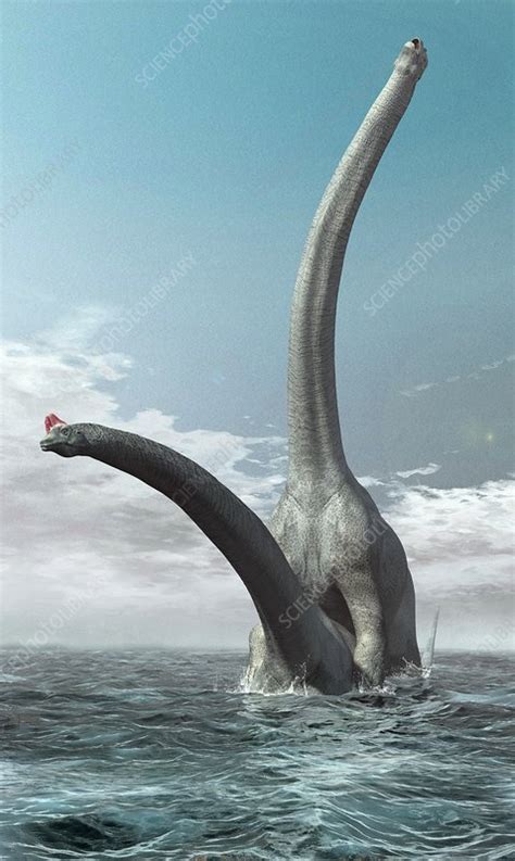 Sauroposeidon Dinosaurs Mating Stock Image C008 7560 Science
