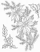 Poinsettia Embroidery Christmas Coloring Patterns Line Vintage Drawing Transfers Hand Pages Printable Holly Pointsettia Pattern Designs Pretty Drawings Floral Print sketch template