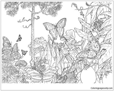 natural forest landscape coloring page  printable coloring pages