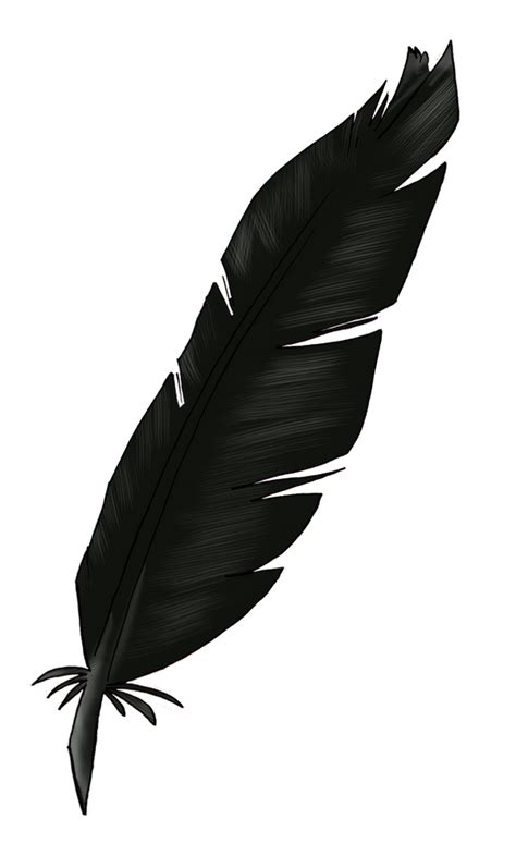 black feather  uniquorned  deviantart