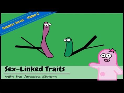 Punnett Squares And Sex Linked Traits Video For 7th 12th Grade