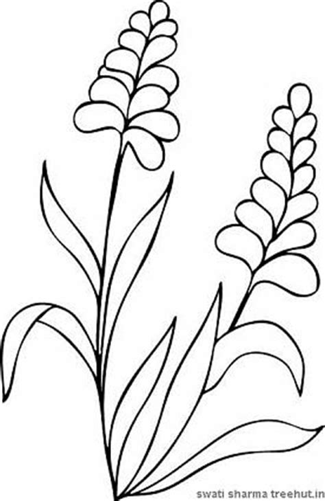 flowers coloring pages set  treehutin