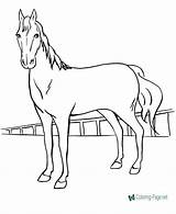 Coloring Horse Pages Printable Below Click sketch template