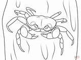 Coloring Crab Pages Crustacean Hermit Coconut Halloween Crabs Supercoloring Drawings Template Sketch 5kb 1199 sketch template