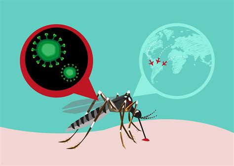 zika virus blog  qg