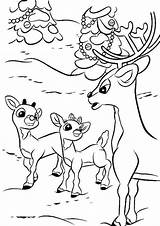 Rudolph Reindeer Nosed Colorare Renna Celebration Tulamama sketch template