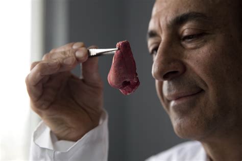 noses ears blood vessels   britain uk touts lab grown organs  japan times