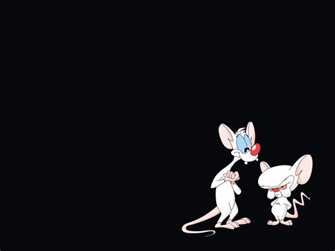 11 pinky and the brain hd wallpapers backgrounds wallpaper abyss its soooo me brain