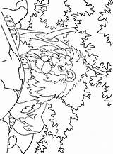 Kleurplaten Leeuwen Leeuw Kleurplaat Dieren Animasi Singa Mewarnai Bergerak Animaatjes Leoni Leone Kleurplatenwereld Animate Stemmen sketch template