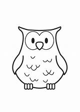 Uil Kleurplaat Owl Malvorlage Eule Buhos sketch template