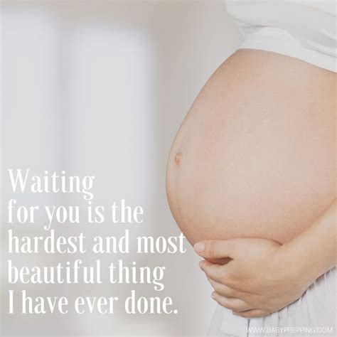 Pregnant And Beautiful Quotes Shortquotes Cc