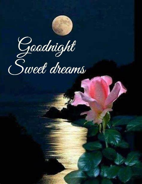 g d night sister and all have a peaceful sleep god bless xxx ☺ good night pinterest