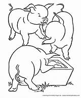 Coloring Pages Pig Farm Animal Pigs Kids Outline Animals Feeding Printable Clipart Activity Cliparts Honkingdonkey Mau Outlines Colouring Library Tranh sketch template