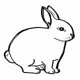 Ausmalbilder Hase Hasen Ausdrucken Einfach Kaninchen Malvorlagen sketch template