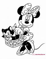 Minnie Figaro Coloring Mouse Pages Disney Printable Friends Disneyclips Carrying Basket Funstuff Butterfly Animal sketch template
