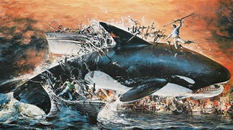 orca  killer whale  full hd  moviek